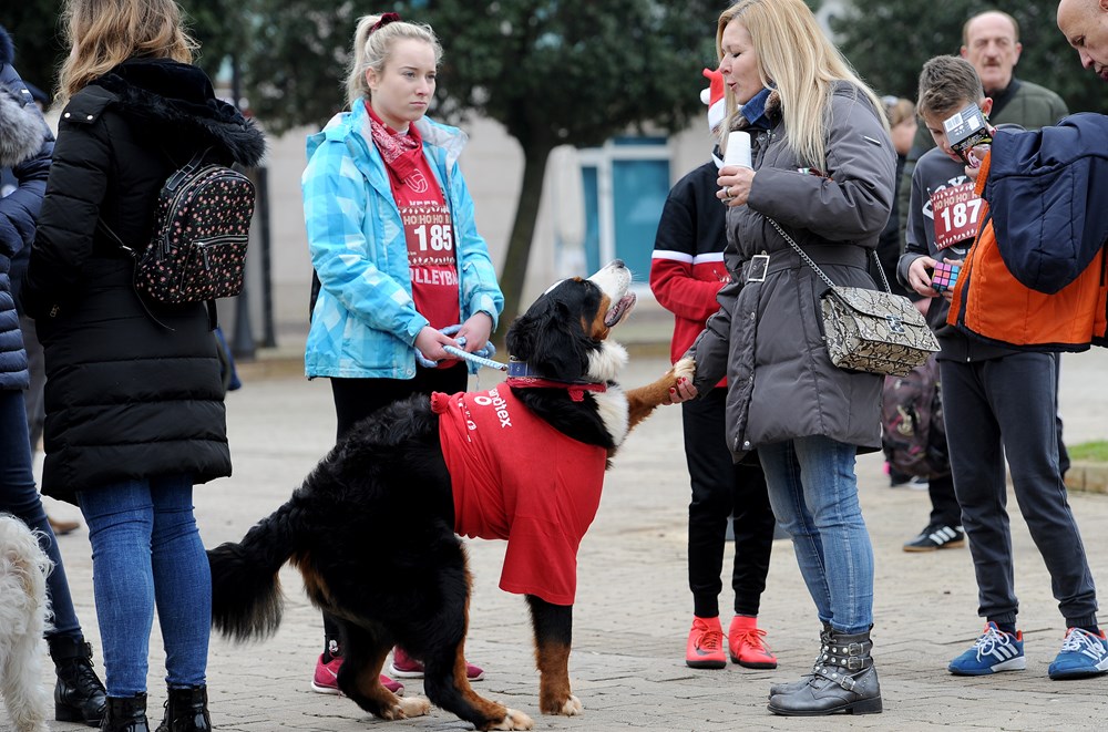 Ho! Ho! Ho! Run (Milivoj MIJOŠEK)